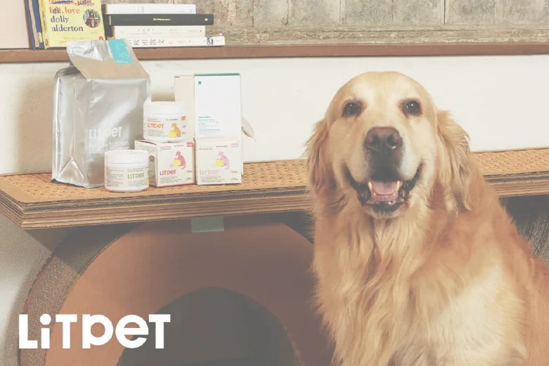 Best Omega 3 Fish Oil for Dogs 2025 | Benefits, Dosage & Top Supplements