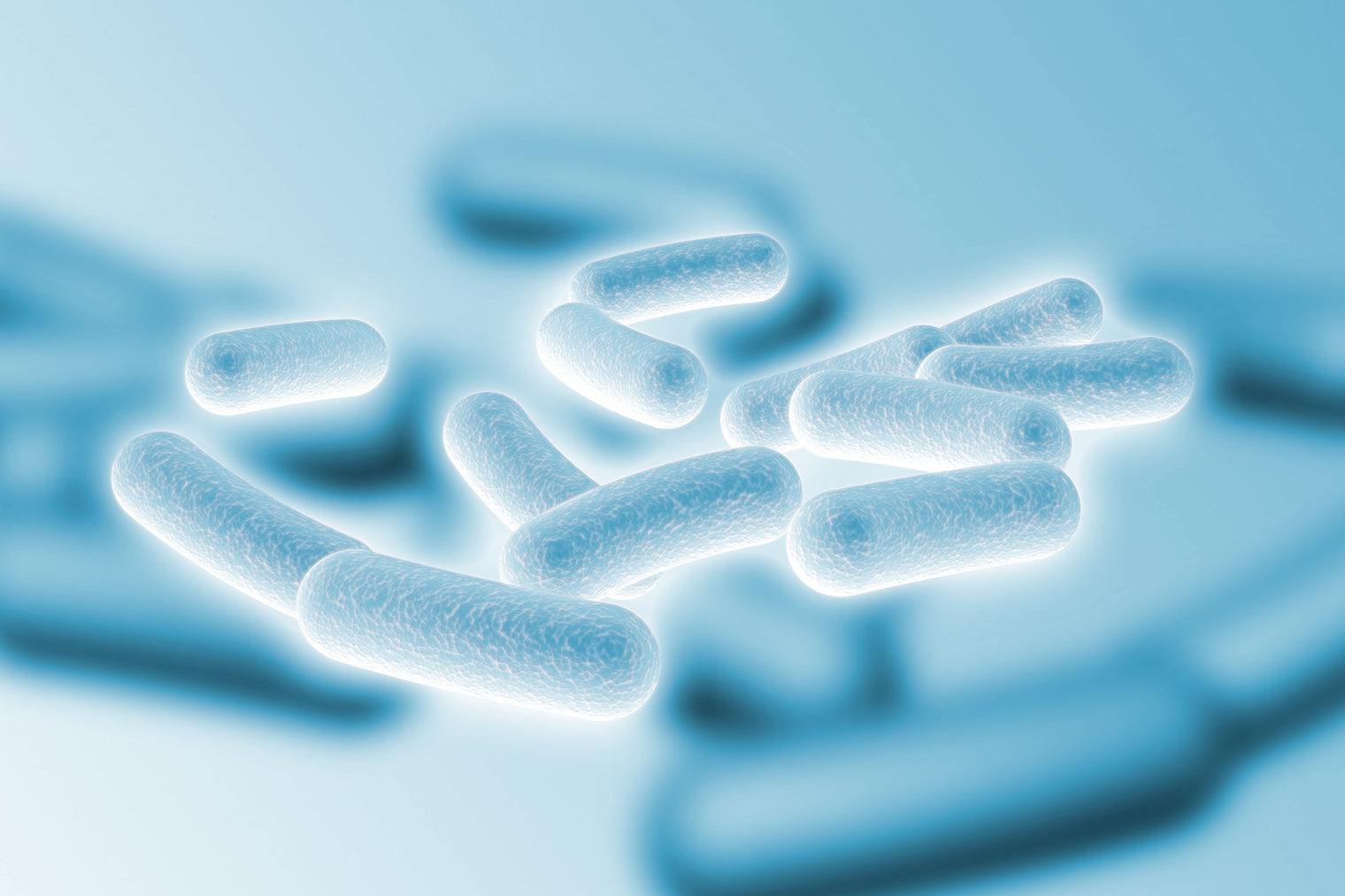 Dog Probiotics: Best Strains, Tips & Benefits for Dogs