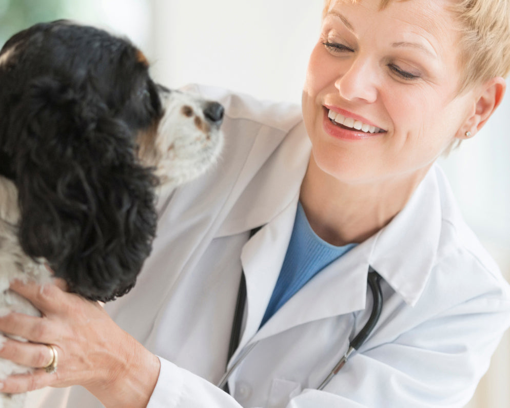 Dog Probiotics: Best Strains, Tips & Benefits for Dogs