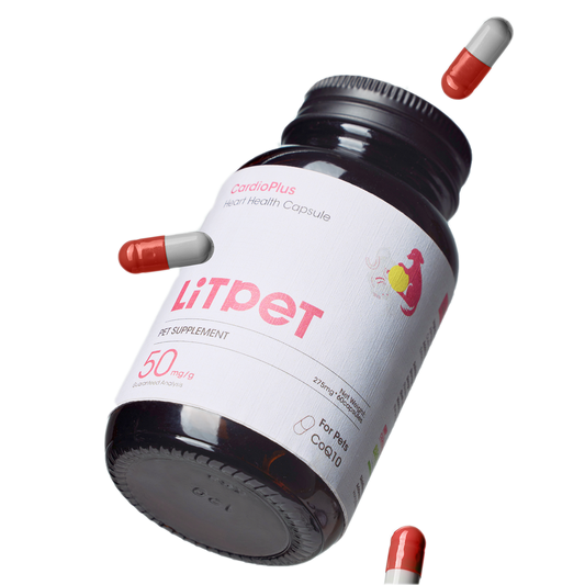 CardioPlus – Heart Health Support Capsules