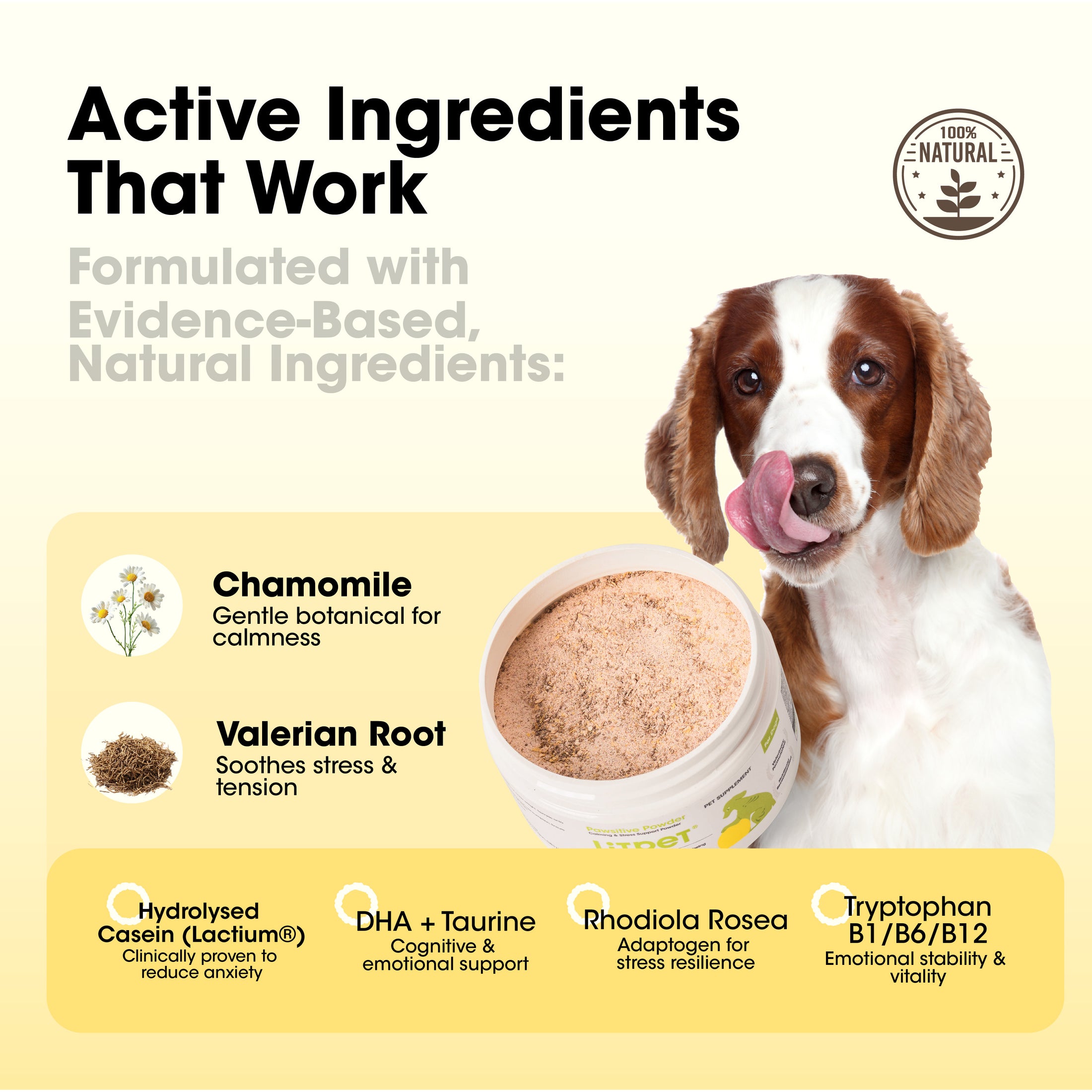 Pawsitive Powder - Calming & Stress Relief Support