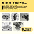 Load image into Gallery viewer, Pawsitive Powder - Calming & Stress Relief Support