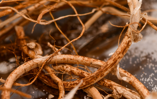 Valerian Root for Dogs: Benefits, Dosage & Side Effects