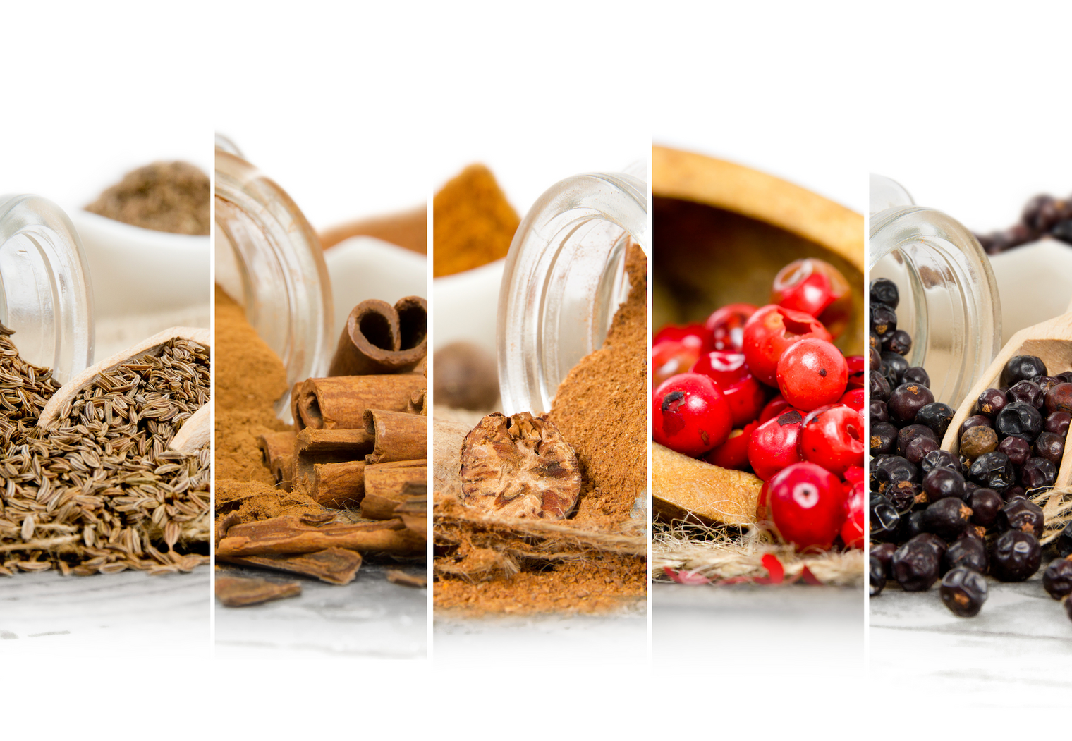 LitPet's Yin-Yang Philosophy