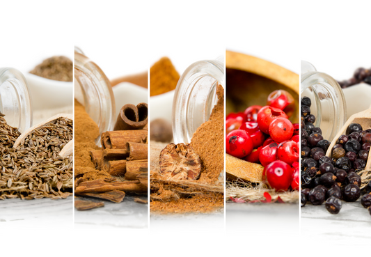 LitPet's Yin-Yang Philosophy