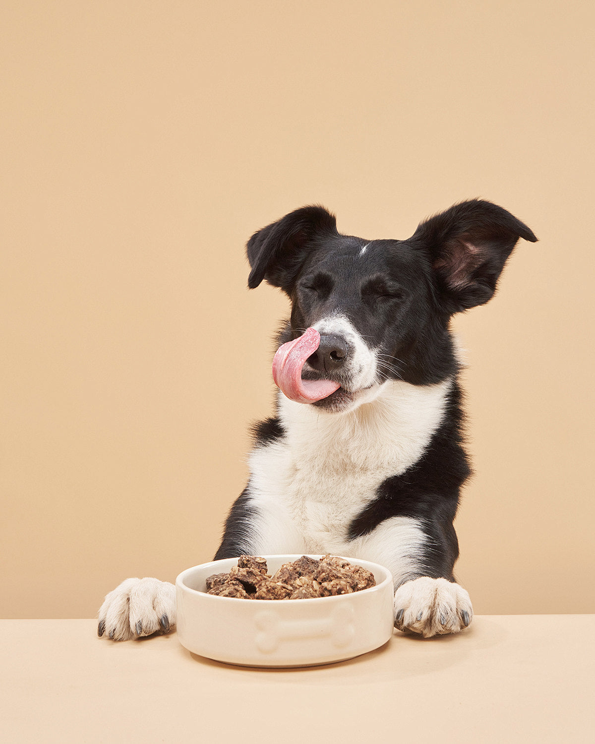 Taurine for Dogs: What Every Pet Owner Must Know in 2025