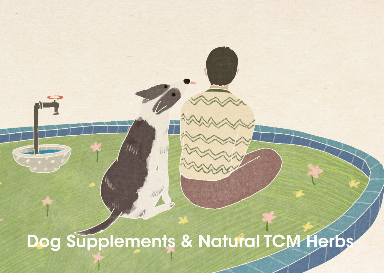 Dog Supplements & Natural TCM Herbs