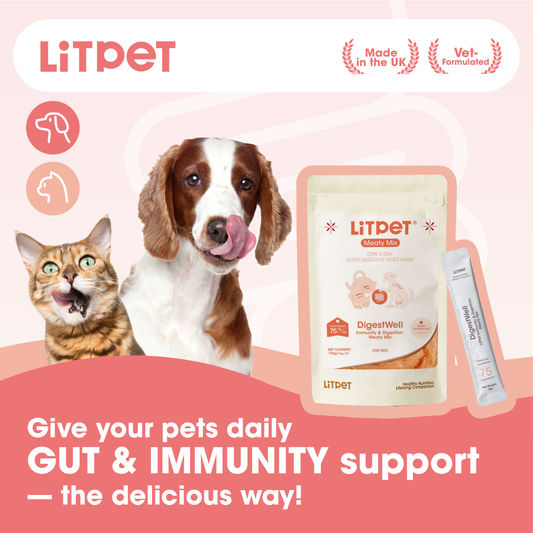 Digest Well Meaty Mix Paste for Cats & Dogs