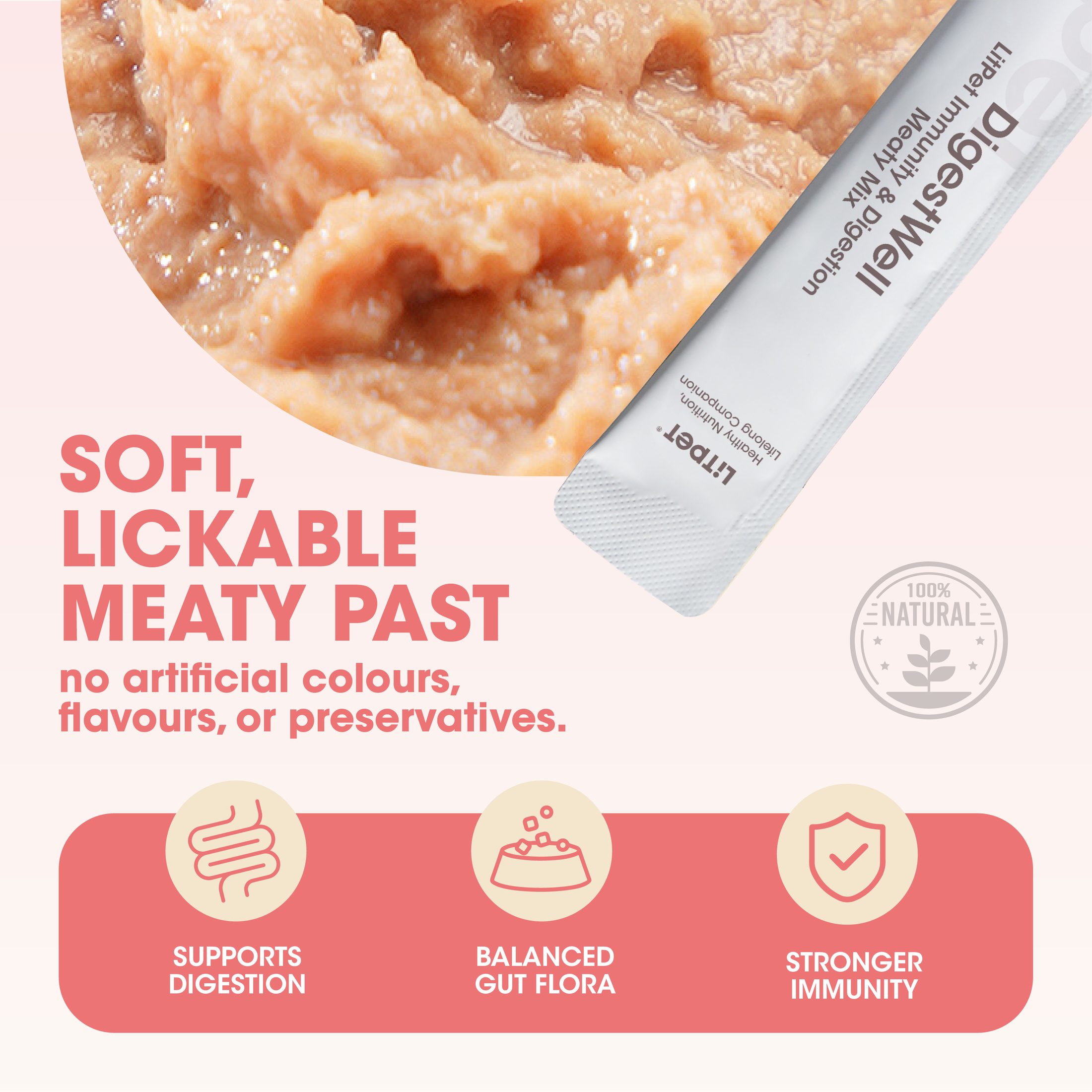 Digest Well Meaty Mix Paste for Cats & Dogs