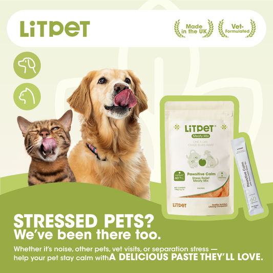 Pawsitive Calm Meaty Mix Paste for Cats & Dogs