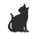 Small Cat