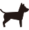 Small Dog