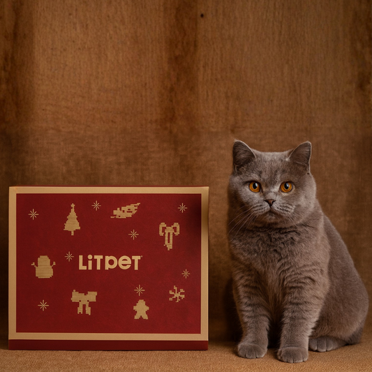 Cat Christmas Gift Box Hong Kong Pet Shop  Litpet HK
