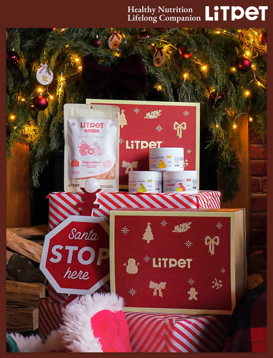 The Jolly Dog Gift Box