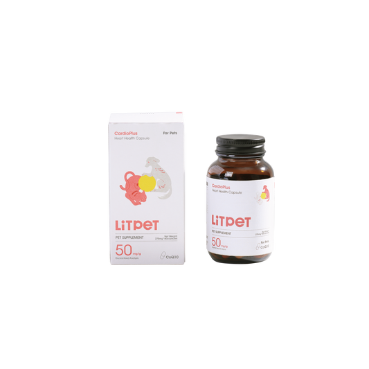 CardioPlus – Heart Health Support Capsules