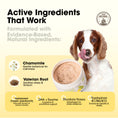Load image into Gallery viewer, Pawsitive Powder - Calming & Stress Relief Support
